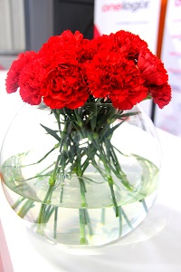 Event Organisers: OneLogix Warehouse Launch, Umlaas 2015